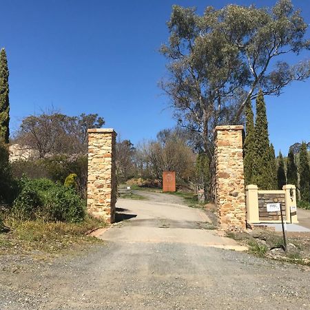 Vineyard Cottage Bnb Gumeracha Екстериор снимка