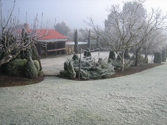 Vineyard Cottage Bnb Gumeracha Екстериор снимка