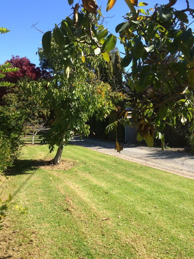 Vineyard Cottage Bnb Gumeracha Екстериор снимка